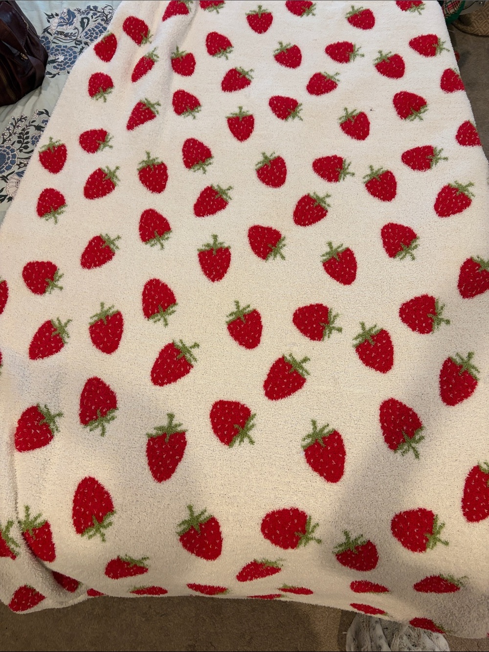Strawberry Pattern Cozy Throw Blanket - White and Red
